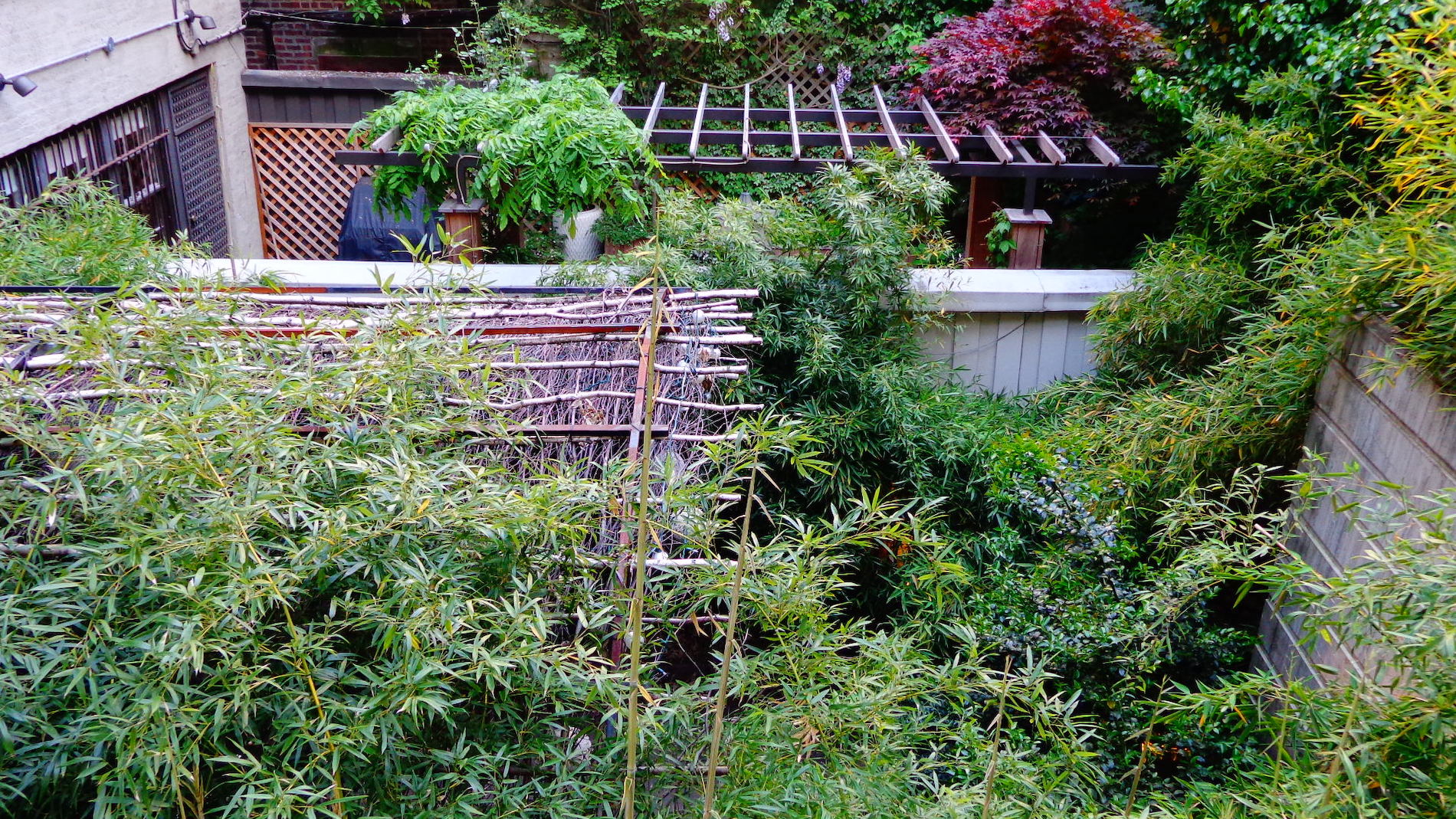 Neighboring Gardens with Bamboo and Trellises
