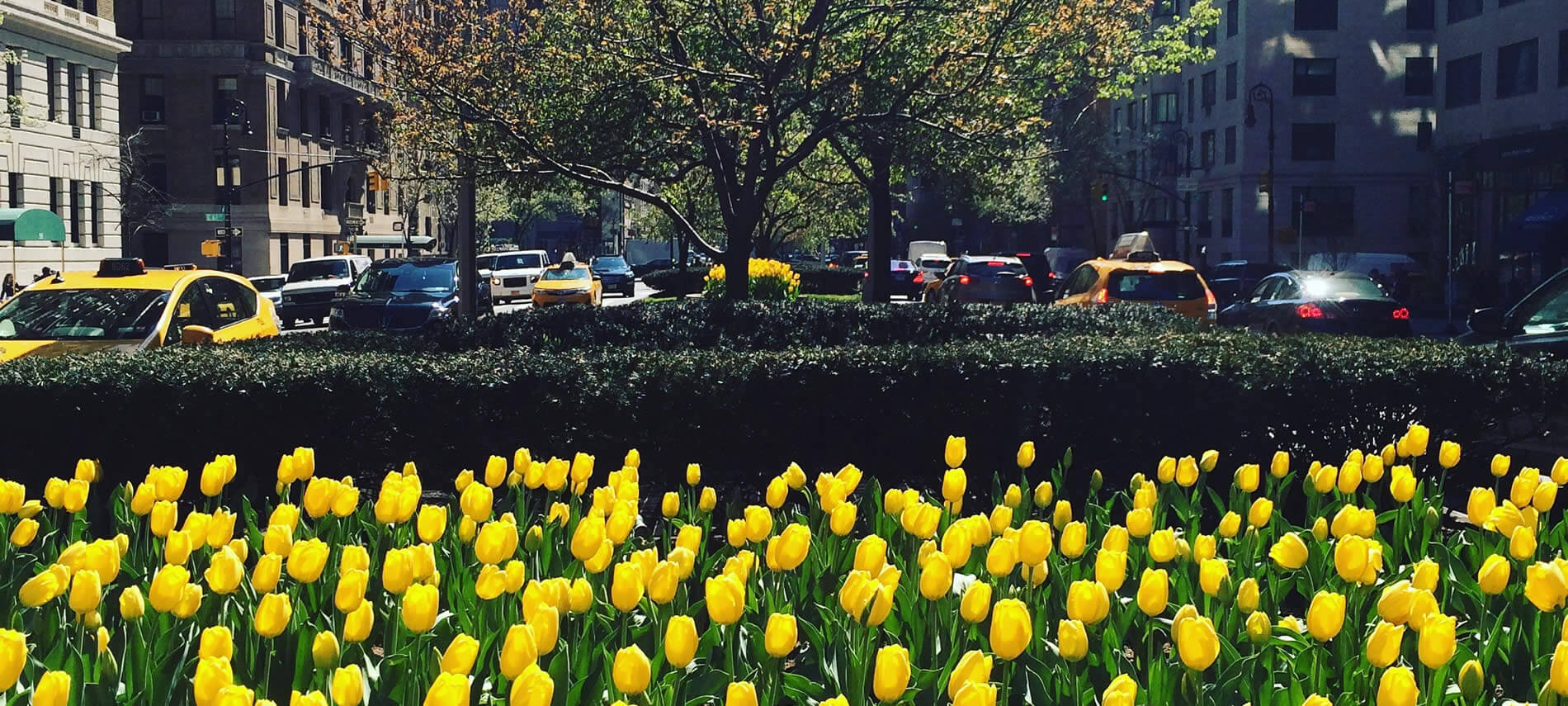 Short Term Lodging Furnished Rental Apartments In Manhattan New York Cozy Chic Short Term Rental Apartments In Manhattan